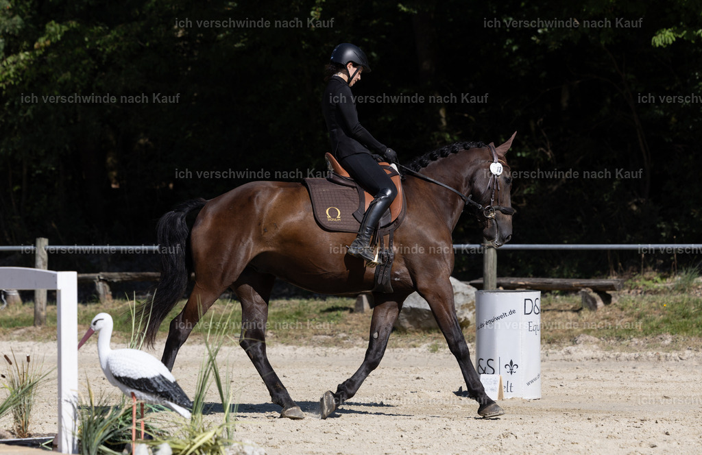 WE_Trail_113_KerstinBernhardt-24 | working equitationturnier fotograf videograf stoibphotography marixx film working equitation deutschland reitsport turnierfotografie eventfotografie equestrian events