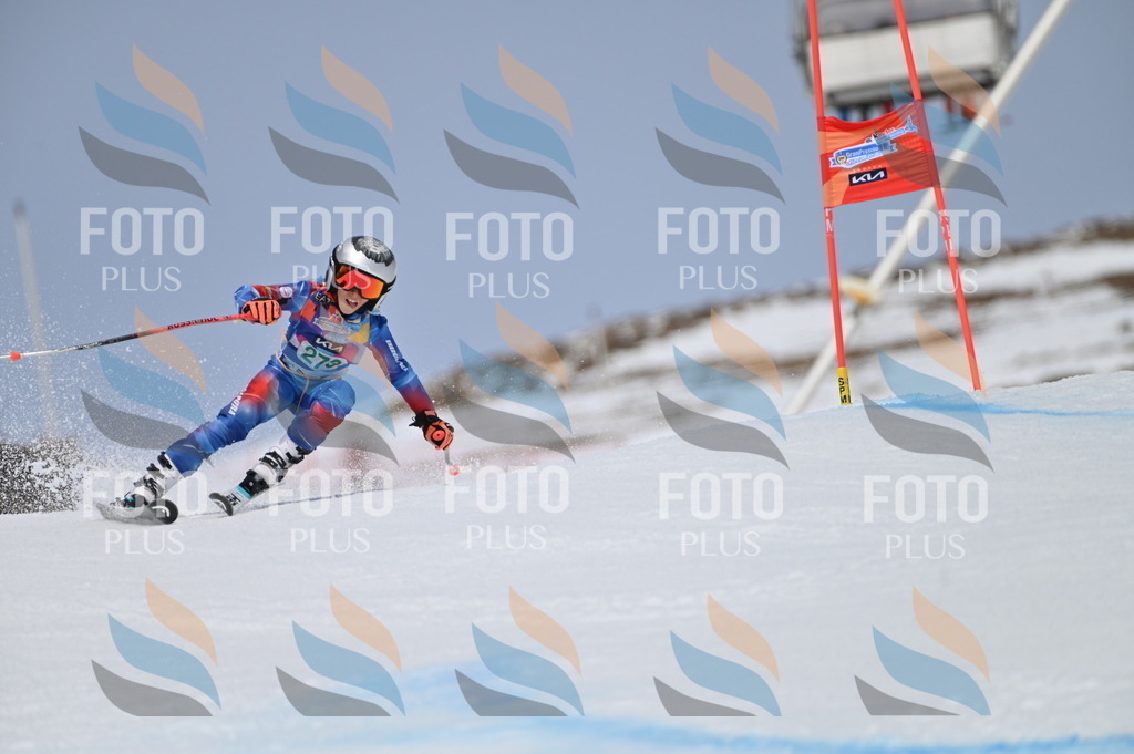 BGV_5394 | holidayphoto