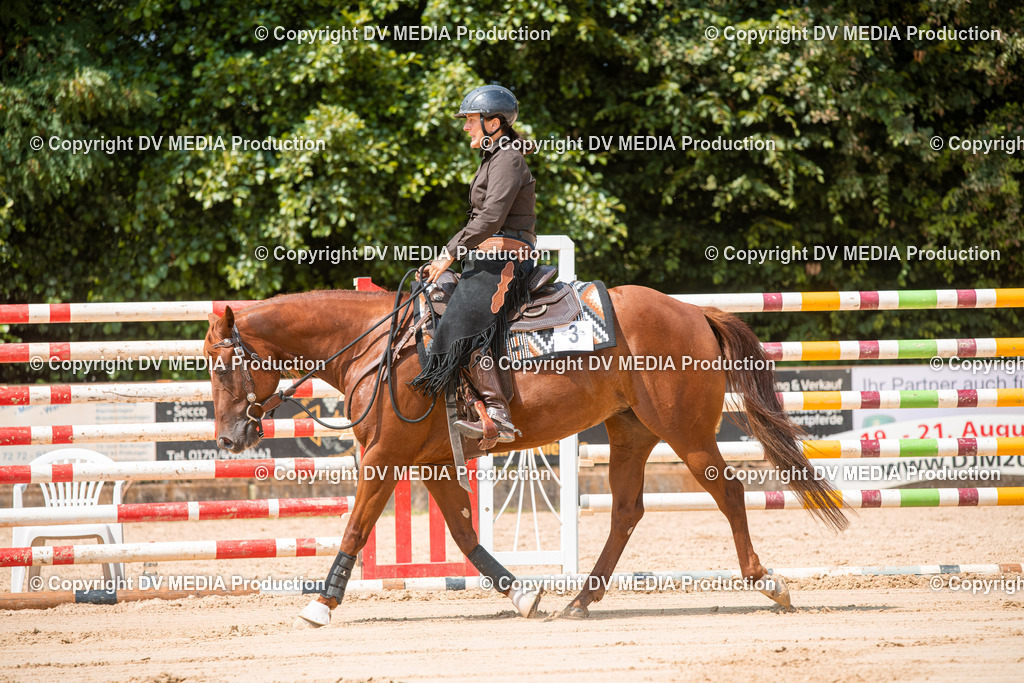 ZS2_8250 | dv-media-shop - Realisiert mit Pictrs.com