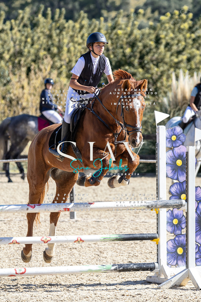 IMG_9911 (2) | s-jay-photography - Realisiert mit Pictrs.com