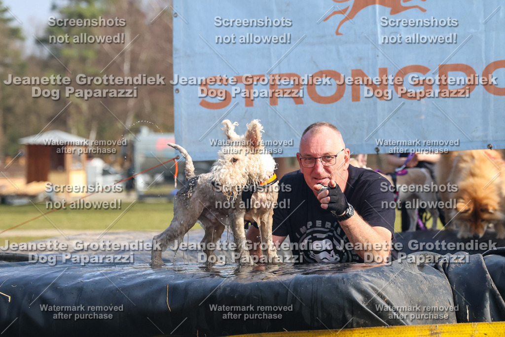 Dog Paparazzi - Strongdog North Mrz26-2089 | Dog Paparazzi Jeanette Grottendiek Fotografie & Videografie - Realisiert mit Pictrs.com