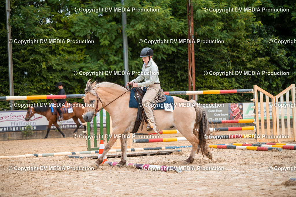 ZS2_7772 | dv-media-shop - Realisiert mit Pictrs.com