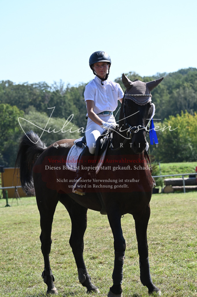 DSC_6499 | Pferde- und Turnierfotografie in Westsachsen. Pferdeportraits, Auftragszeichnungen und intuitive Kunst.