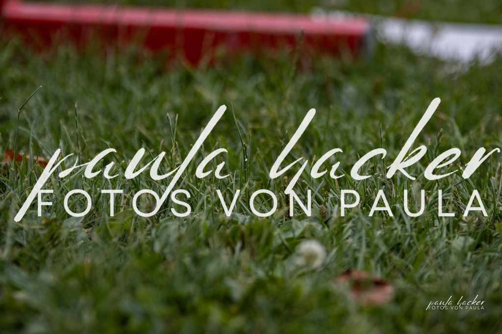 IMG_7562 | Erleben Sie dynamische Sport- und emotionale Tierfotografie in Süddeutschland mit Fotos von Paula. Spezialisiert auf Pferde- und Hundefotografie sowie Sportevents. Kontaktieren Sie mich für einzigartige und ausdrucksstarke Bilder Ihrer besonderen Momente. - Realisiert mit Pictrs.com