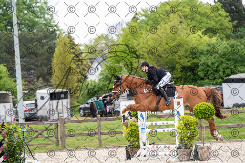 KPT_8743 | andre_photographic