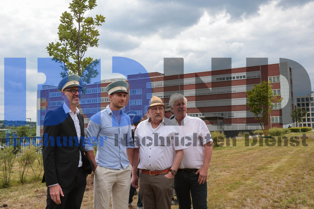 Eicheingrabung | Eicheingrabung - Realisiert mit Pictrs.com