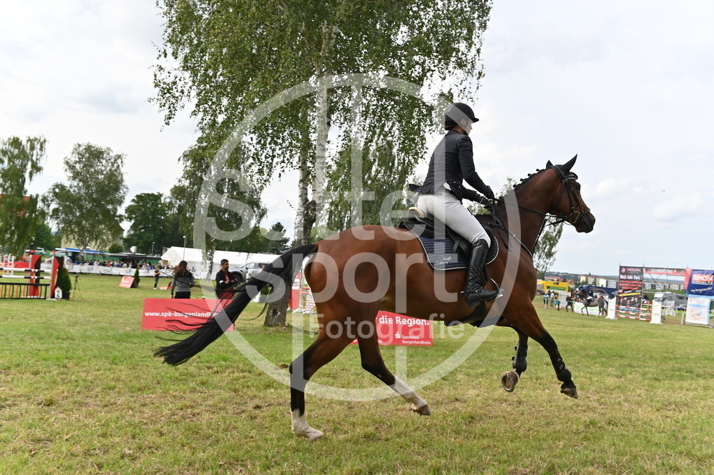 DSC_3840 | sattelsport - Realisiert mit Pictrs.com