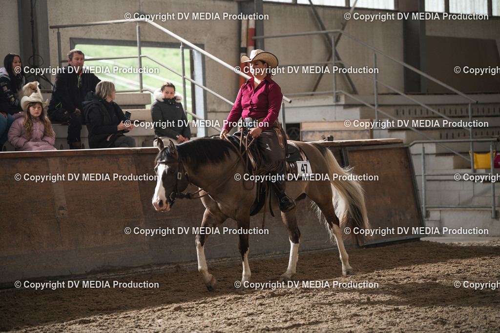 Heiligenwald Tag 1-355 | dv-media-shop - Realisiert mit Pictrs.com