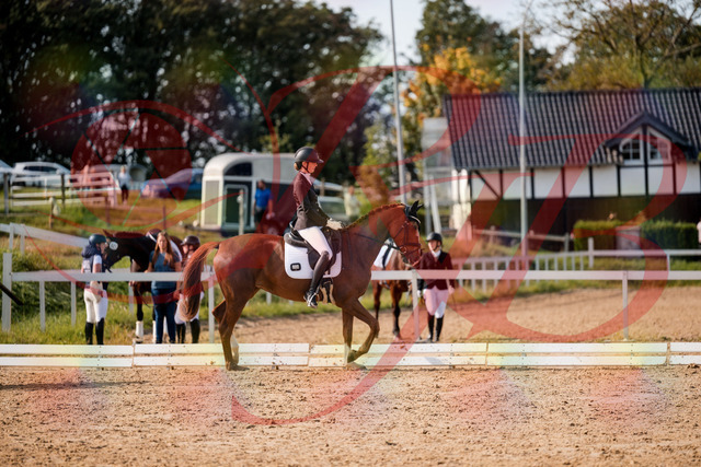 2026_10_03_Siefer-Hof_132856_Z63_90501192 | Professionelle Reitsport-, Turnier- und Eventfotografie von Robert Broda. Galerien mit ausgewählten und bearbeiteten Bildern direkt online ansehen und bestellen.