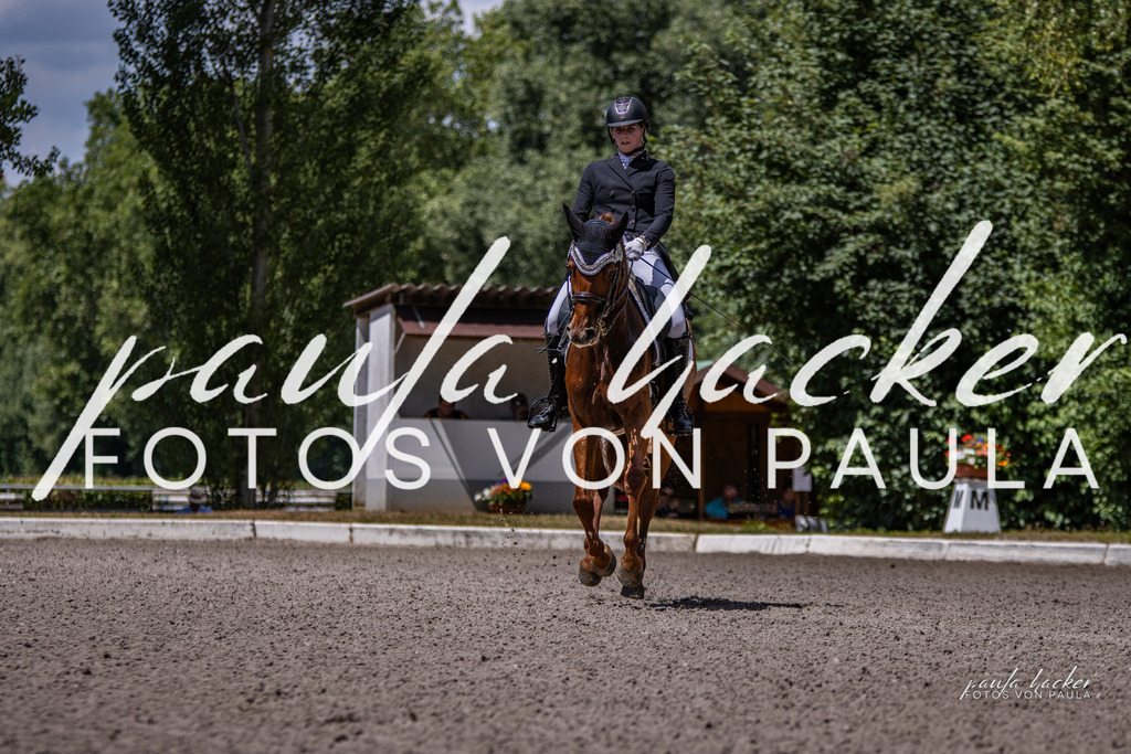 IMG_8203 | Erleben Sie dynamische Sport- und emotionale Tierfotografie in Süddeutschland mit Fotos von Paula. Spezialisiert auf Pferde- und Hundefotografie sowie Sportevents. Kontaktieren Sie mich für einzigartige und ausdrucksstarke Bilder Ihrer besonderen Momente.