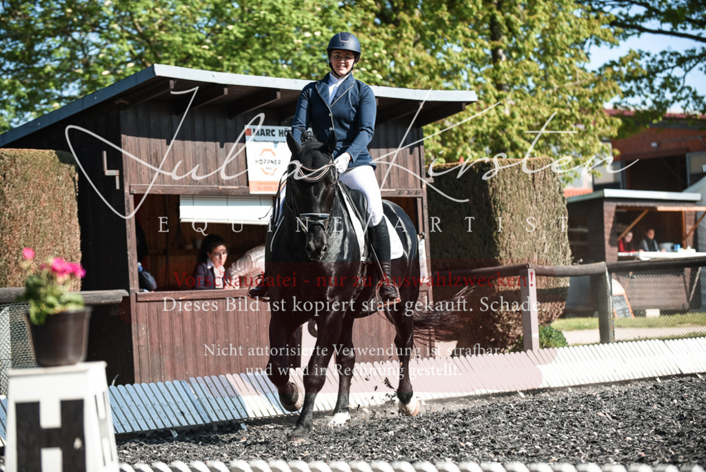 DSC_8478 | Pferde- und Turnierfotografie in Westsachsen. Pferdeportraits, Auftragszeichnungen und intuitive Kunst.
