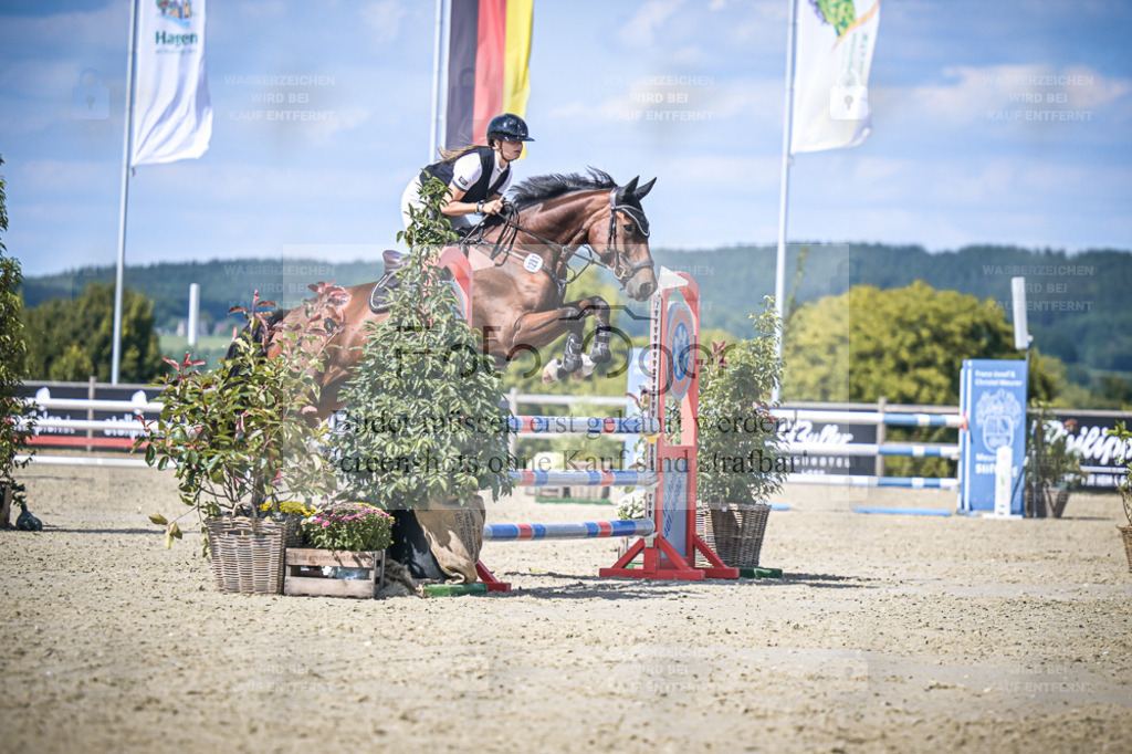 DOS_1444 | Entdecke hochwertige Reitturnierfotos von Foto Oger. Professionell, emotional und authentisch – jetzt Lieblingsmomente im Shop bestellen. - Realisiert mit Pictrs.com