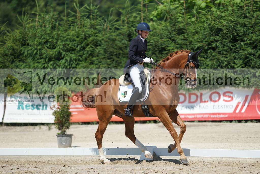 DSC03173 | equestrian-live-com