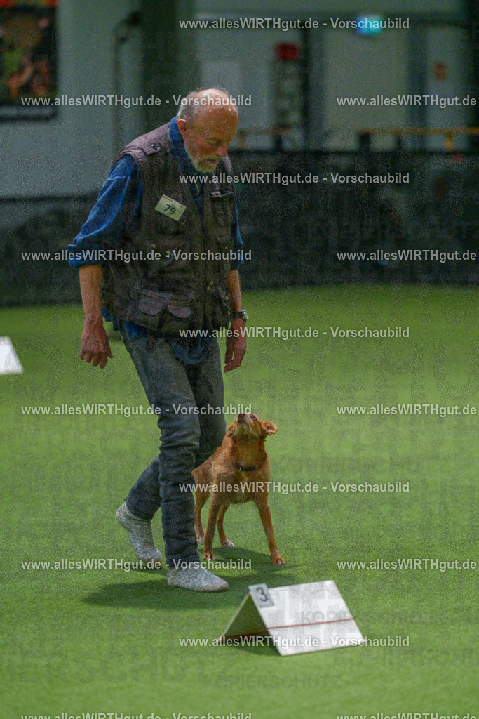 7R507597 | Professionelle Tierfotografie in Mönchengladbach von Daniel Wirth (allesWIRTHgut). Liebevolle & natürliche Bilder von Hunden & Katzen für unvergessliche Erinnerungen.