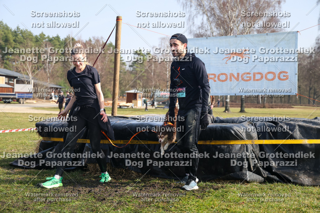 Dog Paparazzi - Strongdog North Mrz26-1662 | Dog Paparazzi Jeanette Grottendiek Fotografie & Videografie - Realisiert mit Pictrs.com