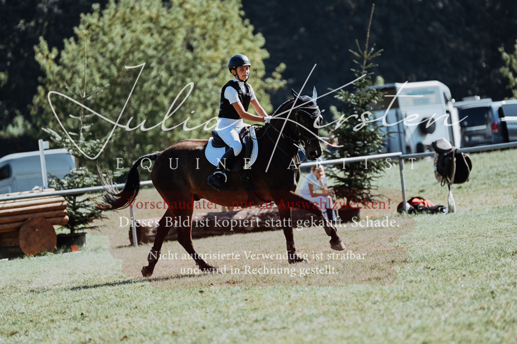 DSC_6777 | Pferde- und Turnierfotografie in Westsachsen. Pferdeportraits, Auftragszeichnungen und intuitive Kunst.