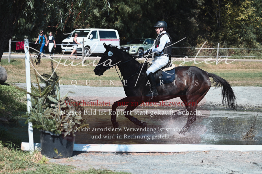 DSC_8483 | Pferde- und Turnierfotografie in Westsachsen. Pferdeportraits, Auftragszeichnungen und intuitive Kunst.