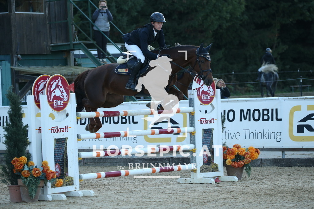 DL2Q4773 | Willkommen bei Brunnmayr - Design & Fotografie – Ihrem Spezialisten für Reitturniere und Pferdeveranstaltungen in Oberösterreich, Salzburg und Bayern! Seit über 17 Jahren sind wir leidenschaftlich dabei.