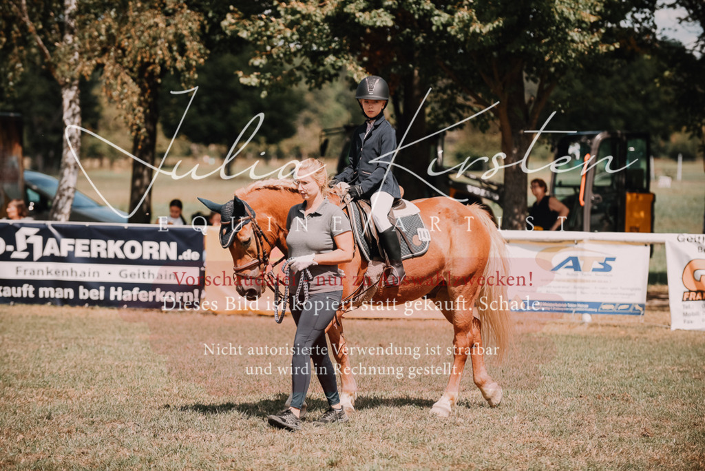 DSC_5968 | Pferde- und Turnierfotografie in Westsachsen. Pferdeportraits, Auftragszeichnungen und intuitive Kunst.