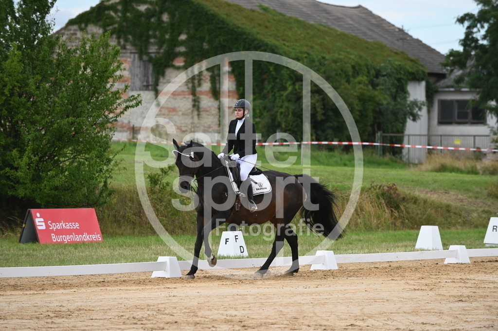 DSC_5337 | sattelsport - Realisiert mit Pictrs.com