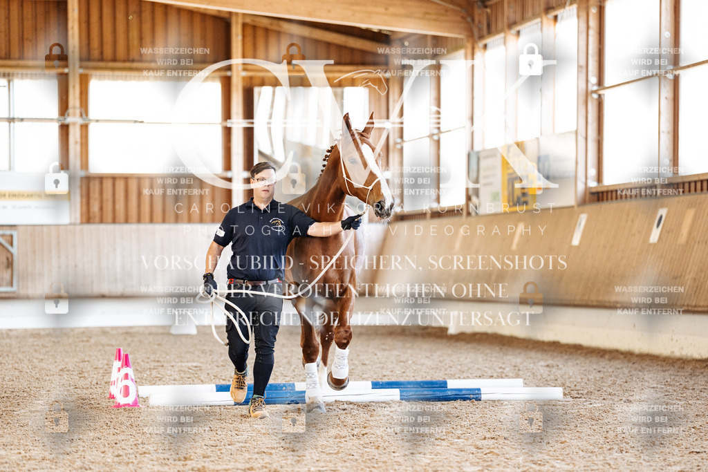 CK905849 | Turnierfotografie Pferdefotografie Trier Rheinland-Pfalz Pferdesport Reitsport Tierfotografie Sportfotografie Pferdevideo Pferdevideografie Equestrianvideography equestrianphotography  - Realisiert mit Pictrs.com