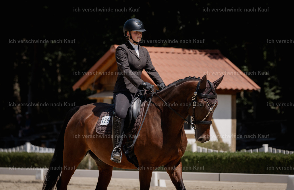 WE_DR_126_SinaFilmArt_IN03573 | working equitationturnier fotograf videograf stoibphotography marixx film working equitation deutschland reitsport turnierfotografie eventfotografie equestrian events