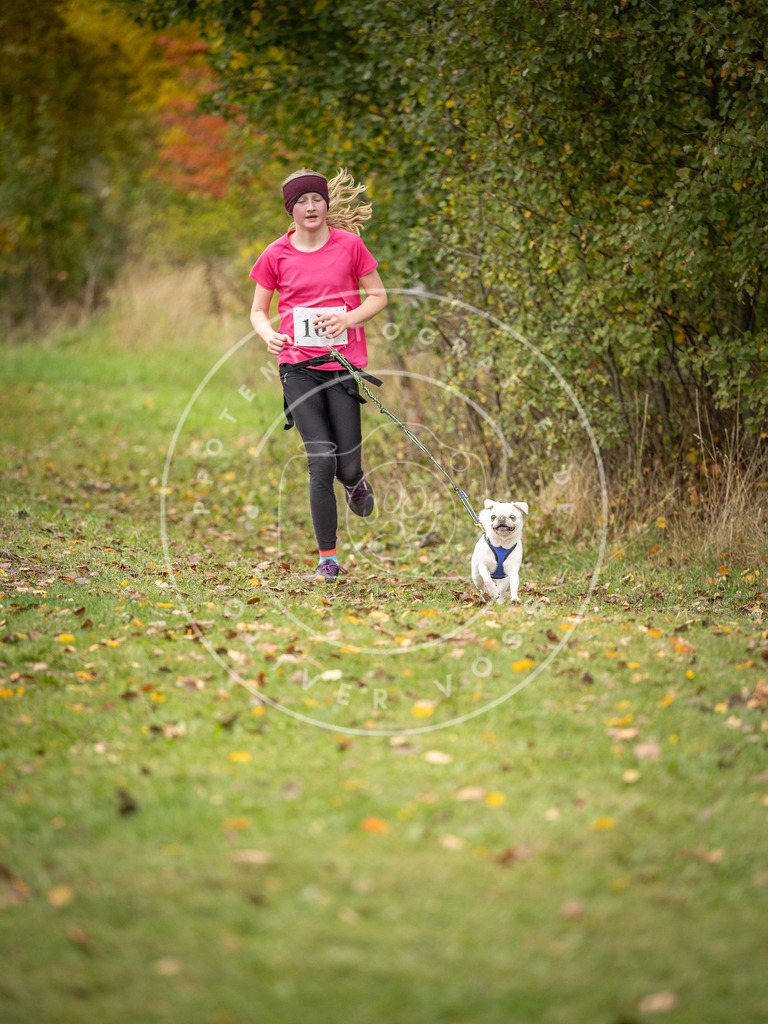 Pfotenfotografie_DV3A3469 | Hundefotografie, Tierfotograf, Pfotenfotografie, Fotoshooting Hund, Hunde Portrait, Hundesport, Hundeportraits, Heideshooting, Hunde, Sportfotograf, Hundefotograf, Turnierhundsport, THS,  - Realisiert mit Pictrs.com