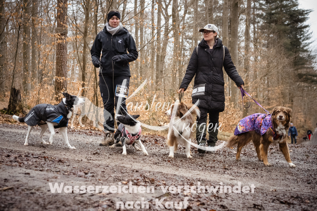 1151_ZZ92508 | kk-dogfotos