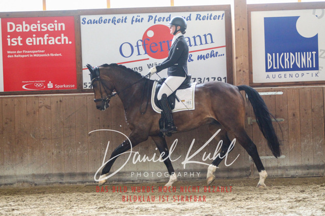 DKP43462 | Turniersportfotografie; Pferdefotografie; Dressurfotografie