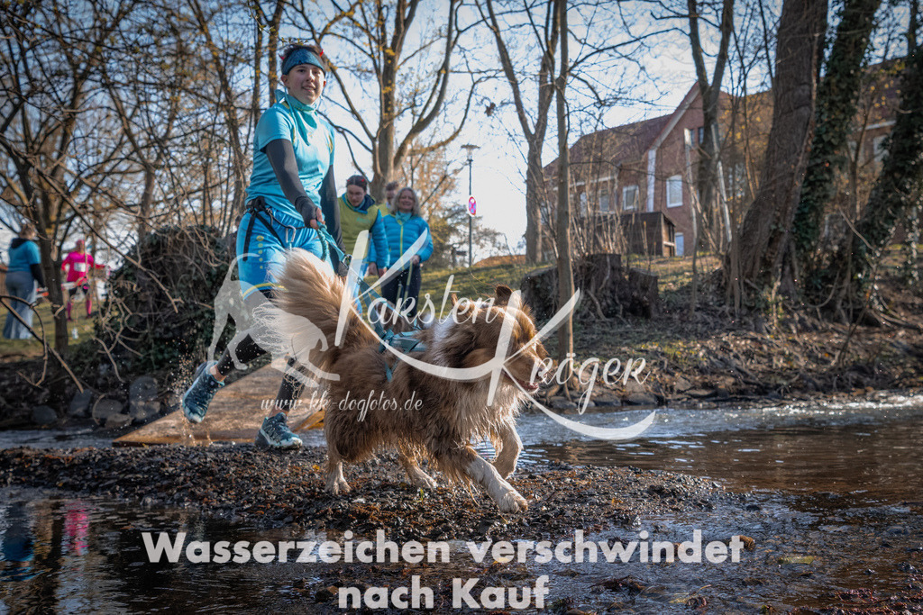 0828_ZZ91164 | kk-dogfotos