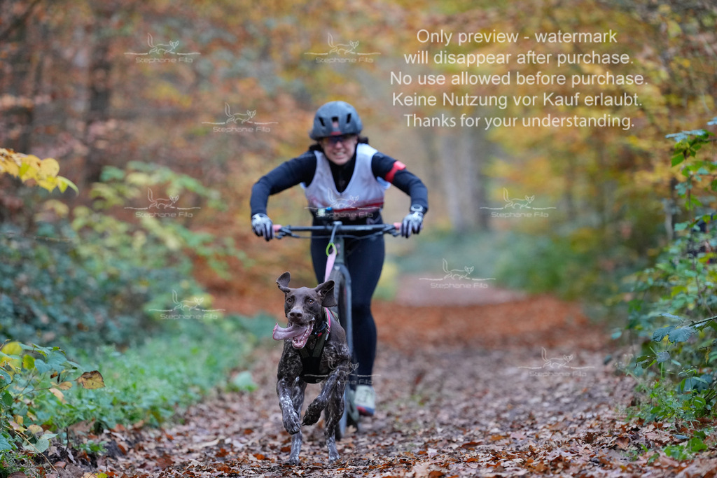 Scooter_So-4 | stephaniefillaphotographie - Realisiert mit Pictrs.com