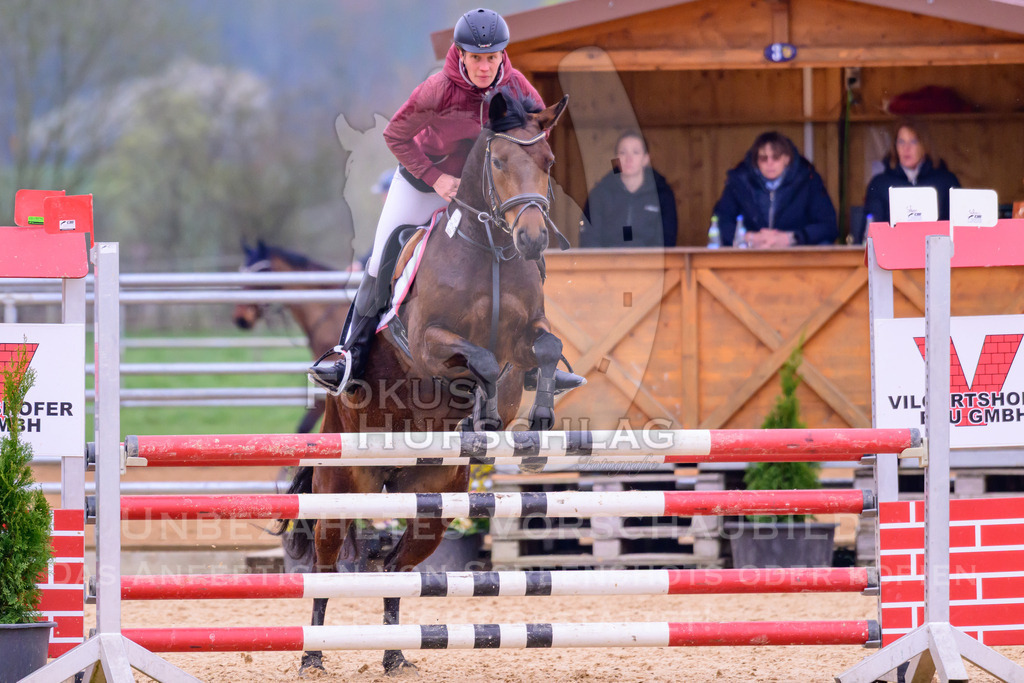 10042026-Mammendorf-Prfg17-0355 | Fokus Hufschlag Fotografie - Realisiert mit Pictrs.com