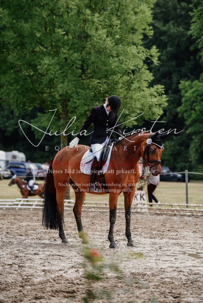 DSC_9736 | Pferde- und Turnierfotografie in Westsachsen. Pferdeportraits, Auftragszeichnungen und intuitive Kunst.