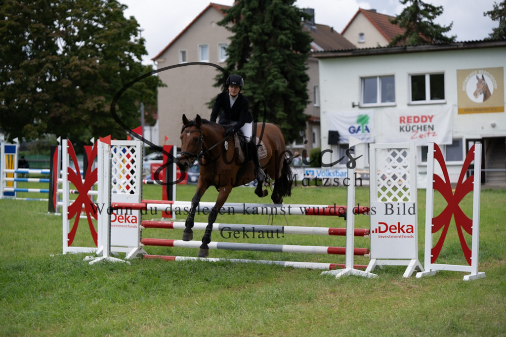 A7V03960 | Pferdefotograf