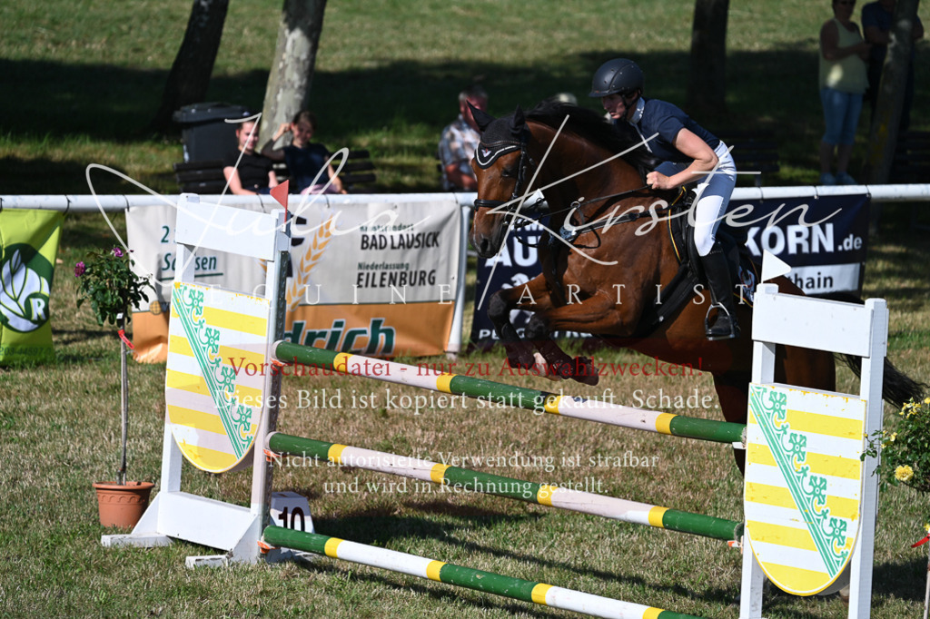 DSC_2220 | Pferde- und Turnierfotografie in Westsachsen. Pferdeportraits, Auftragszeichnungen und intuitive Kunst.