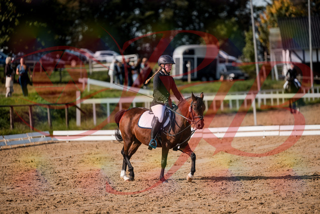 2026_10_03_Siefer-Hof_120750_Z63_36895945 | Professionelle Reitsport-, Turnier- und Eventfotografie von Robert Broda. Galerien mit ausgewählten und bearbeiteten Bildern direkt online ansehen und bestellen.