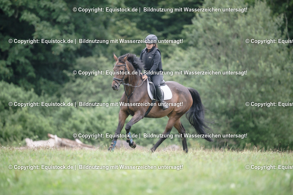 20250726_Vielseitigkeitslehrgang-Marbach_0335 | Foto: Thomas Hartig