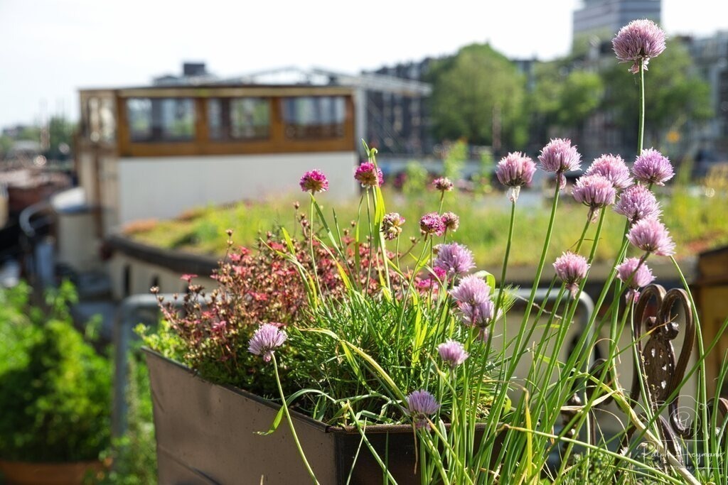 DSC01478 | Ich fotografiere leidenschaftlich Landschaften, Architektur, Portraits und Tiere - Realisiert mit Pictrs.com