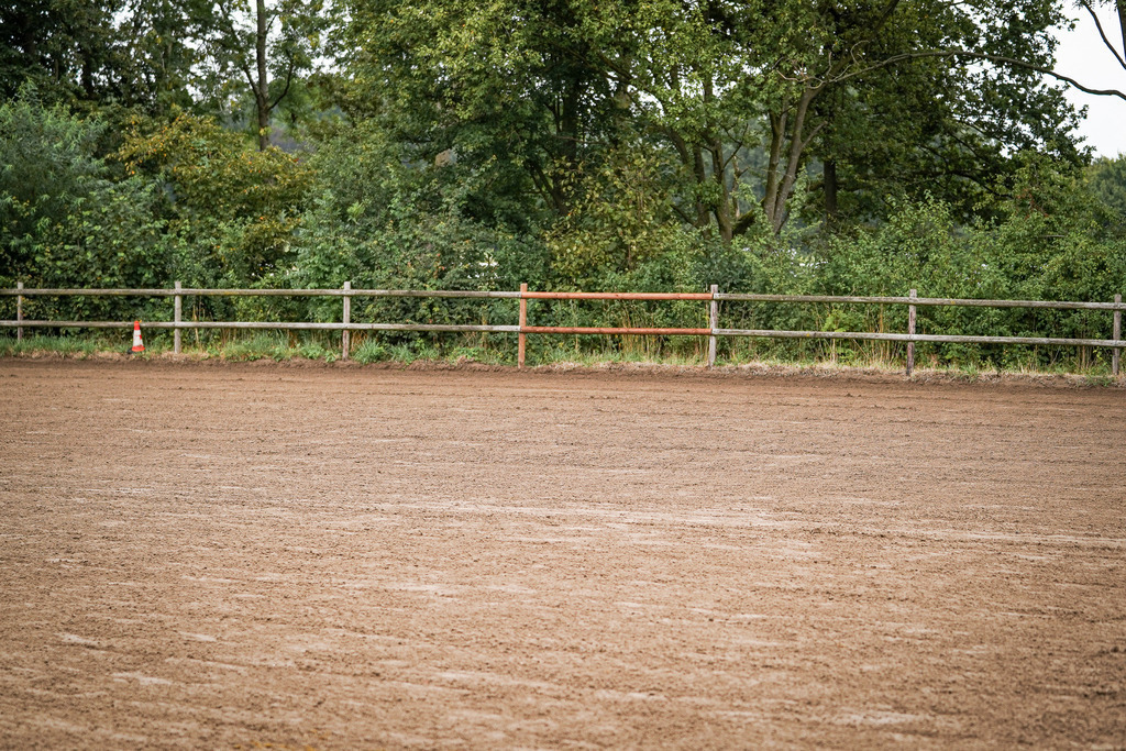 DSC05405 | Pferdegrafie