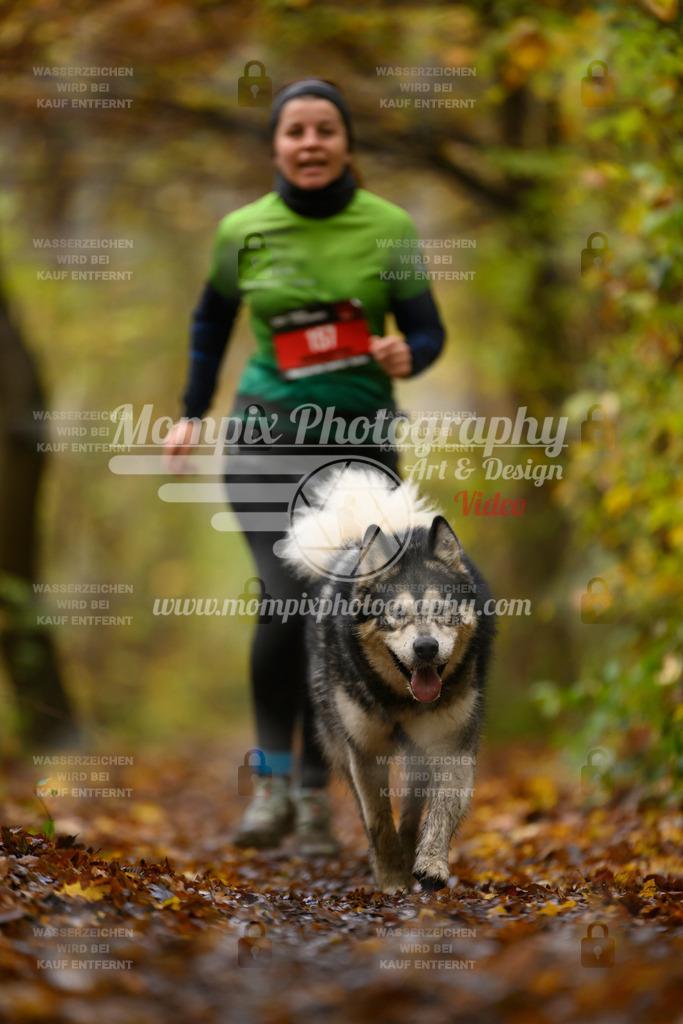 MompixPhotography_CD7S_DI_CCL-185 | mompixphotography