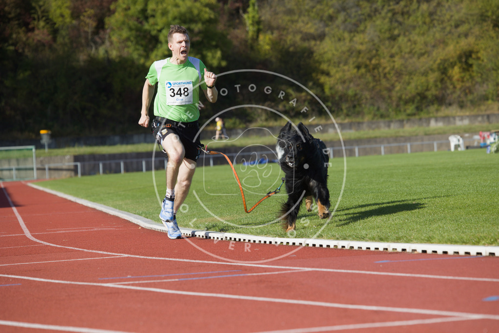 0L8A9430 | Hundefotografie, Tierfotograf, Pfotenfotografie, Fotoshooting Hund, Hunde Portrait, Hundesport, Hundeportraits, Heideshooting, Hunde, Sportfotograf, Hundefotograf, Turnierhundsport, THS,  - Realisiert mit Pictrs.com