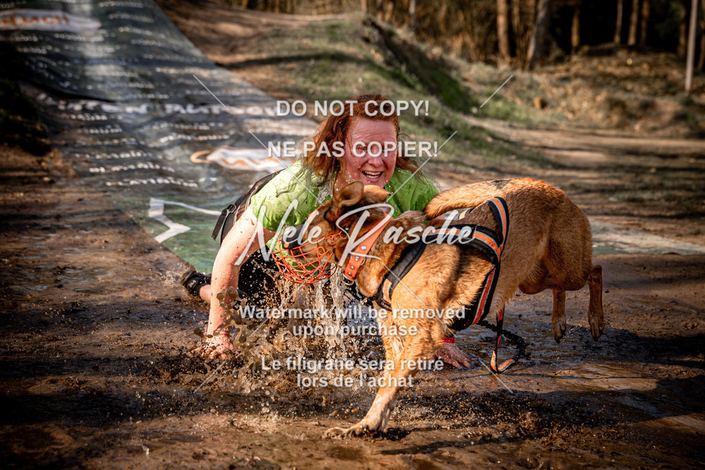 nelerasche_Hulsbeek_So1030-1100_249 | nelerasche