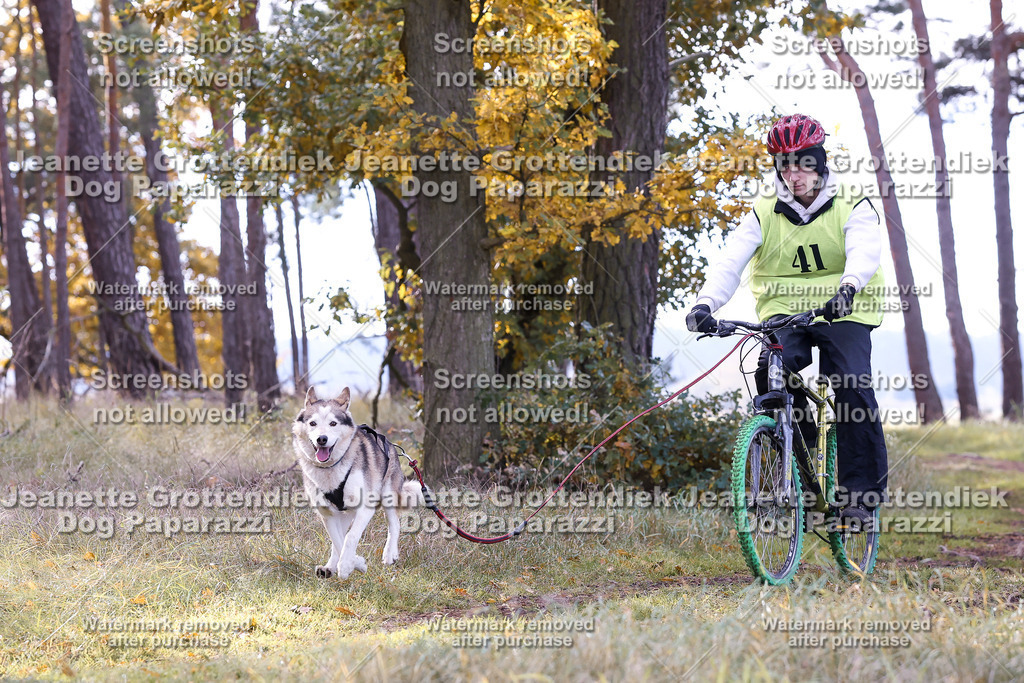 Dog Paparazzi - Elsholz 25 -157 | Dog Paparazzi Jeanette Grottendiek Fotografie & Videografie - Realisiert mit Pictrs.com
