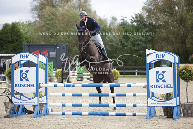 1J2A1007Alberto Rodriguez Lopez_ Ellington 16_ Kn433_ Havekost | Foto- und Videografie für alles rund ums Pferd. Hochwertige Bilder und Videos vom Spring- und Dressurreiten, Voltigieren & mehr. Jetzt aktuelle Veranstaltungen und Preise im Shop ansehen. - Realisiert mit Pictrs.com