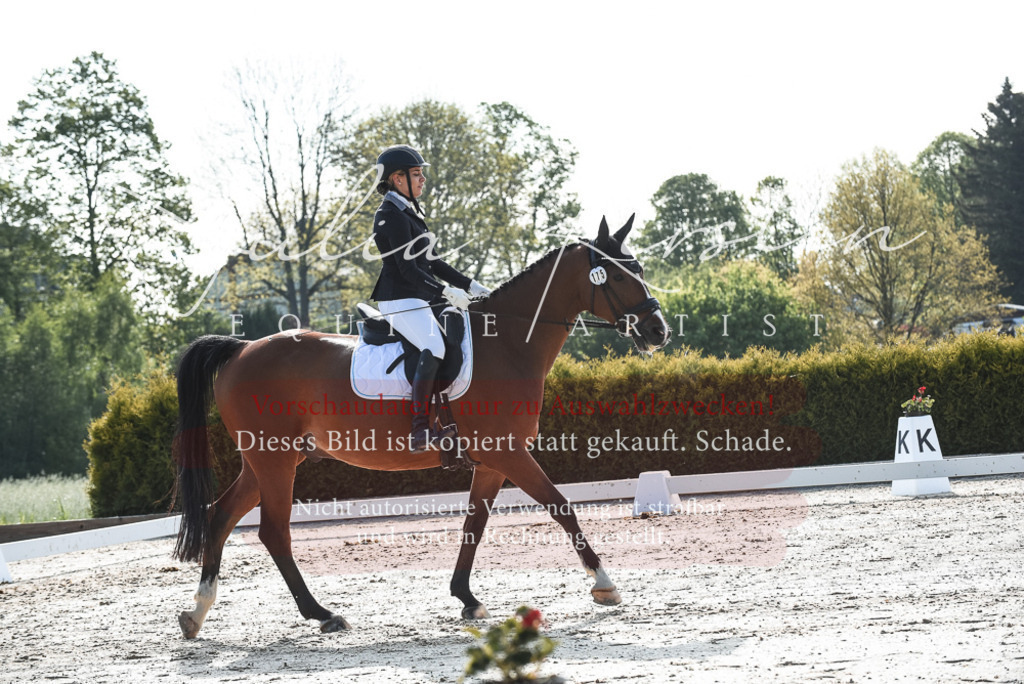 20230518_JK-Röhrsdorf-09-0869 | Pferde- und Turnierfotografie in Westsachsen. Pferdeportraits, Auftragszeichnungen und intuitive Kunst.