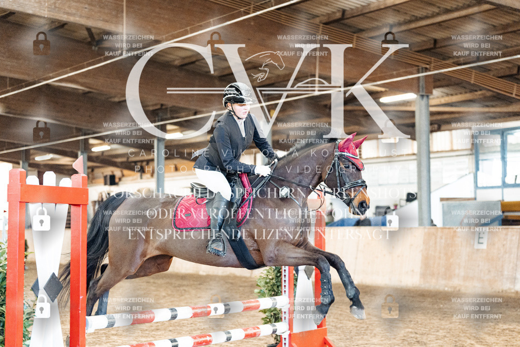 CK903768 | Turnierfotografie Pferdefotografie Trier Rheinland-Pfalz Pferdesport Reitsport Tierfotografie Sportfotografie Pferdevideo Pferdevideografie Equestrianvideography equestrianphotography  - Realisiert mit Pictrs.com