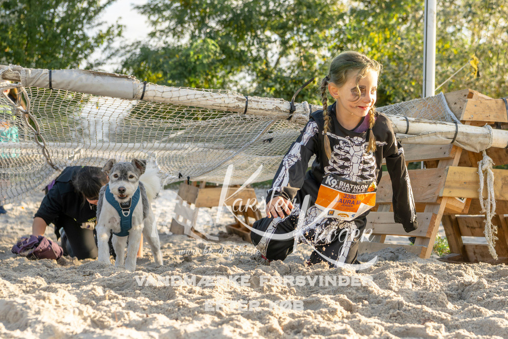 1647_ZZ99423 | kk-dogfotos