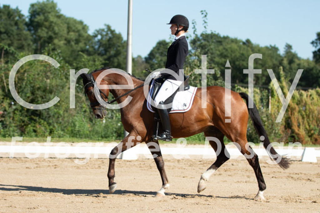 IMG_5099 | Creatify Fotografie