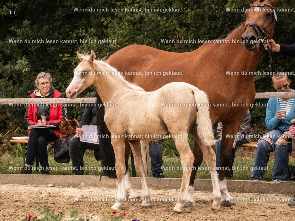 A10I2126 15.54.45 | photographylinaismer - Realisiert mit Pictrs.com