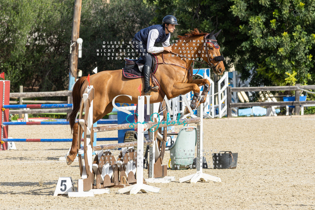 IMG_4445 | s-jay-photography - Realisiert mit Pictrs.com